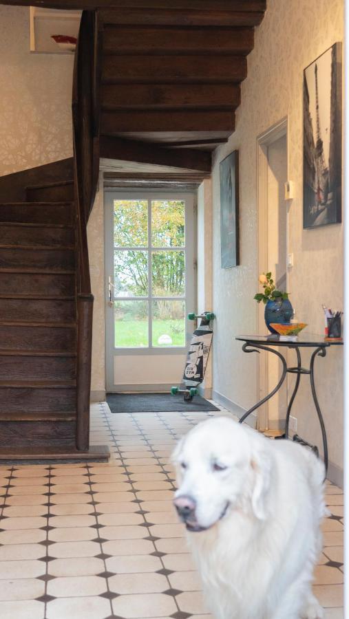 Les Iffs Domaine De La Basse Orme B&B 외부 사진