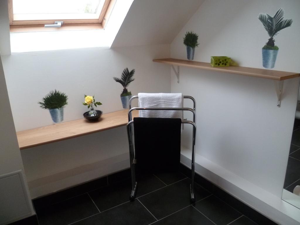 Les Iffs Domaine De La Basse Orme B&B 객실 사진